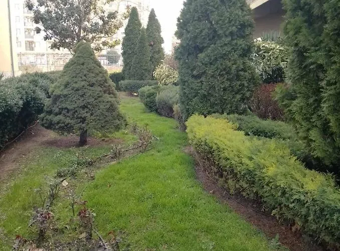 Апартаменты жасмин клуб Солнечный берег